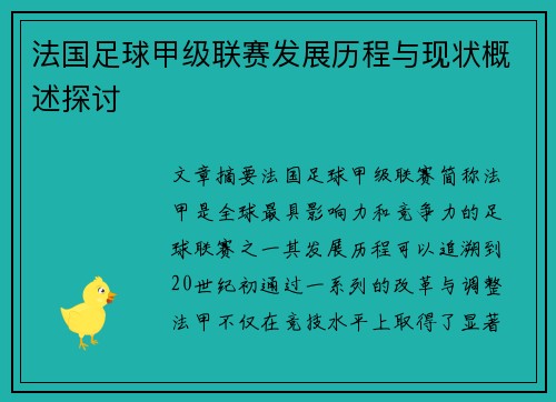 法国足球甲级联赛发展历程与现状概述探讨