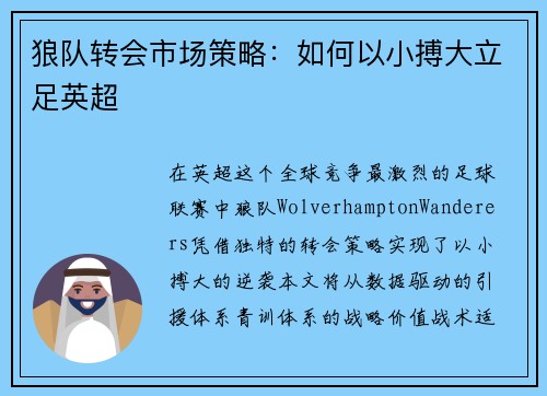 狼队转会市场策略：如何以小搏大立足英超