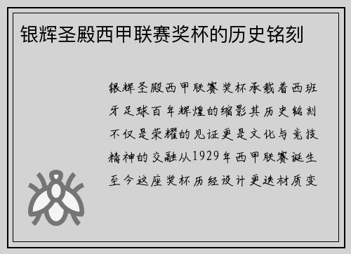银辉圣殿西甲联赛奖杯的历史铭刻