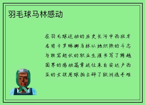 羽毛球马林感动